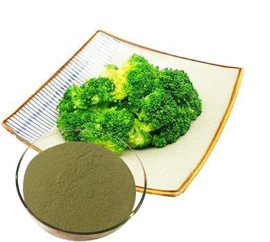 Broccoli Extract Powder.png